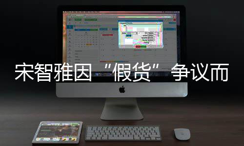 象受道歉雅因而形争议货宋智损 视频发布假